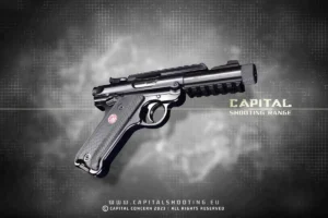 Ruger Mark IV 22LR Budapest Shooting pistol